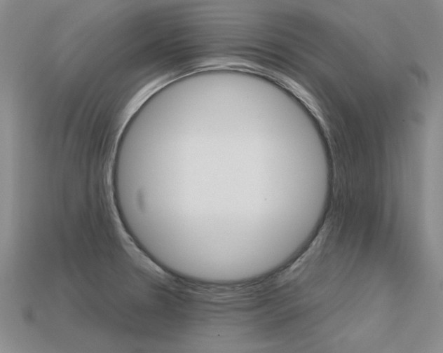 X0000113601330200909181100