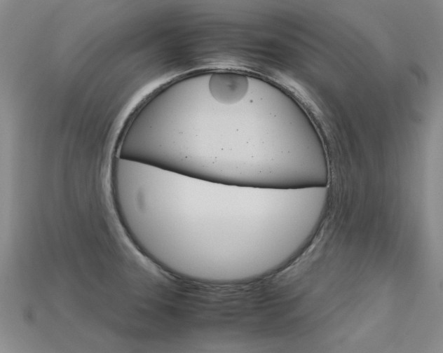X0000113601331200909181100