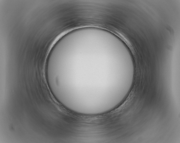 X0000113601332200909181100
