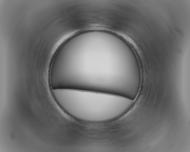 X0000113601333200909181100