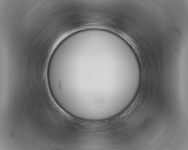X0000113601334200909181100