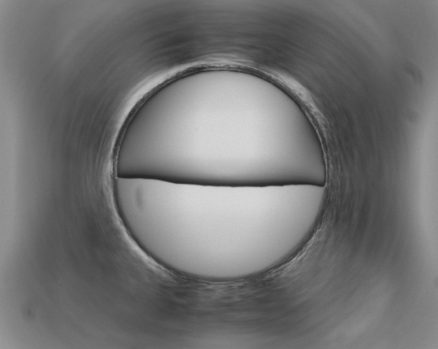 X0000113601335200909181100