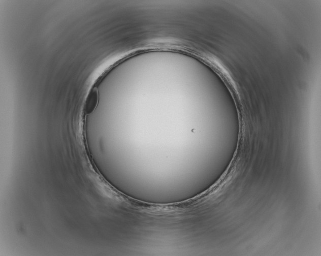 X0000113601336200909181100