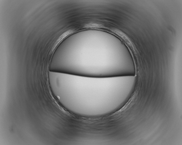 X0000113601337200909181100