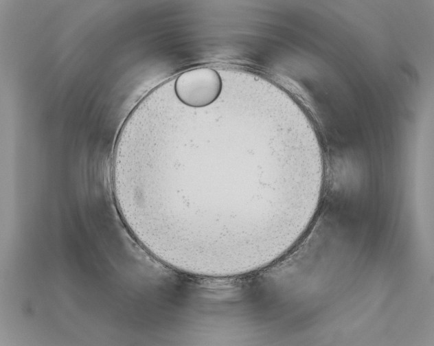 X0000113601338200909181100