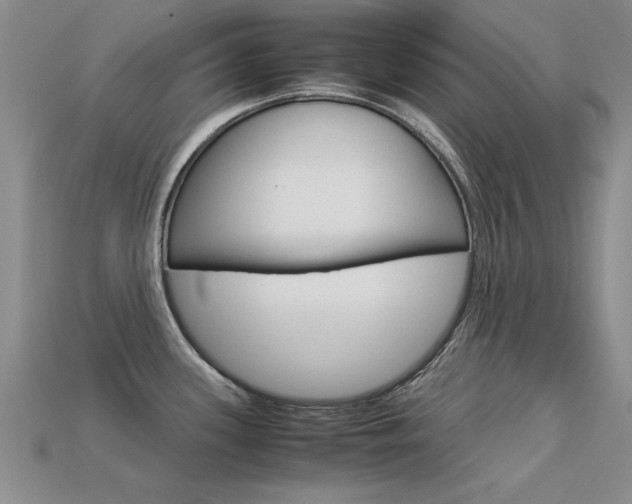 X0000113601339200909181101