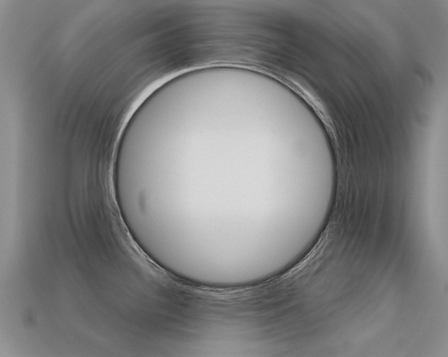 X0000113601340200909181101
