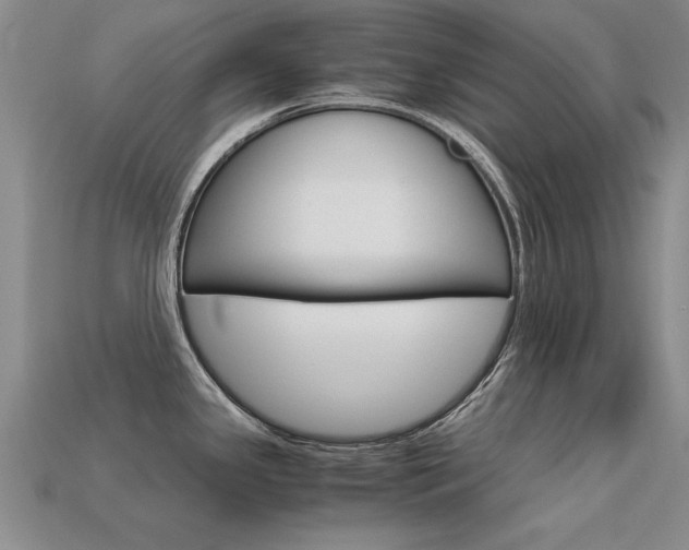 X0000113601341200909181101
