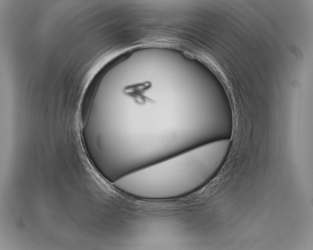 X0000113601344200909181101