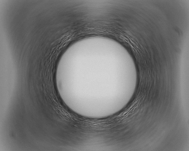 X0000113601345200909181100