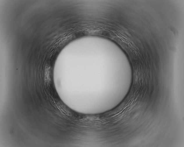 X0000113601346200909181100