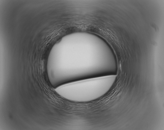 X0000113601347200909181100