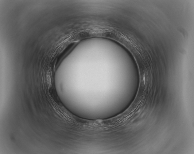 X0000113601348200909181100