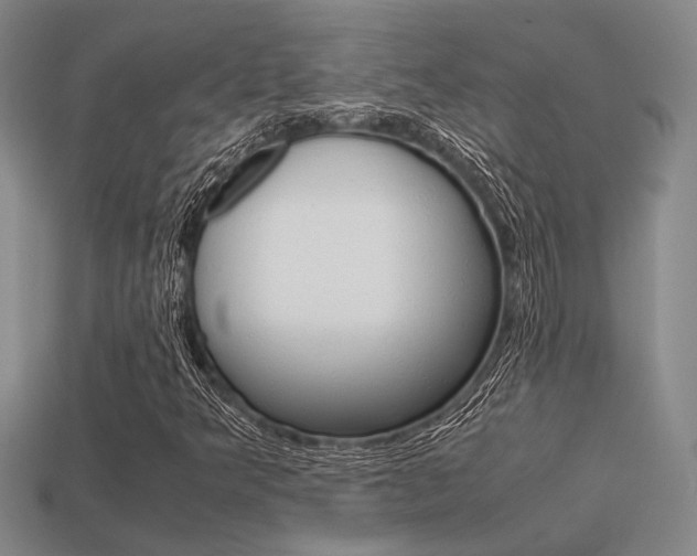 X0000113601349200909181100
