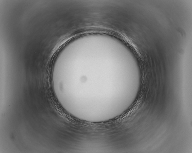 X0000113601352200909181100