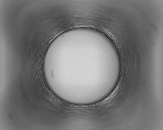 X0000113601353200909181100