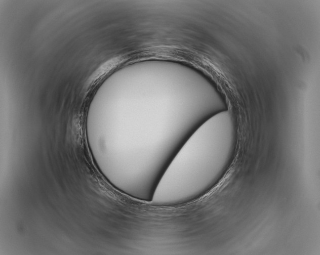 X0000113601354200909181100