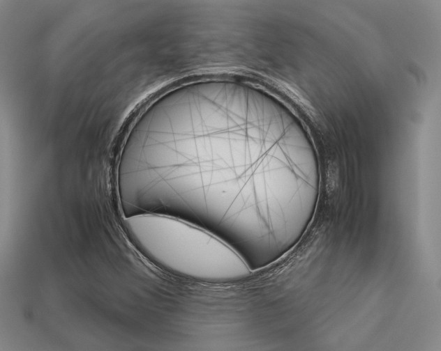 X0000113601356200909181100