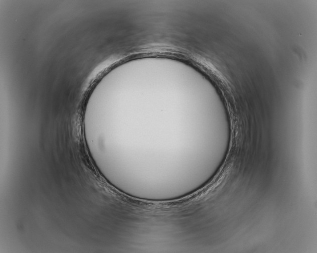 X0000113601358200909181100