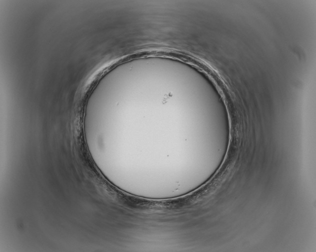 X0000113601359200909181100
