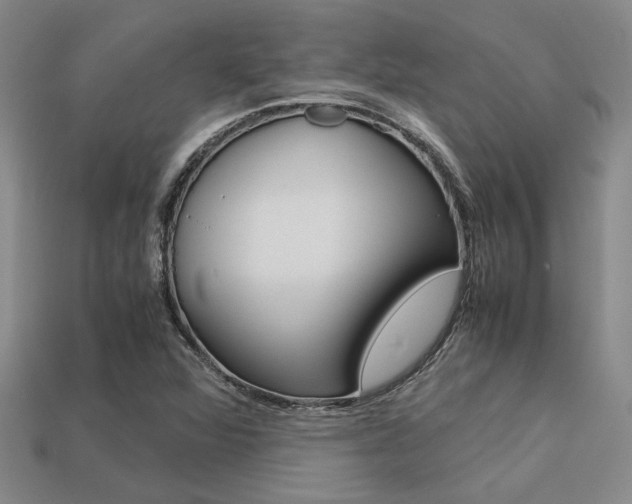 X0000113601360200909181100