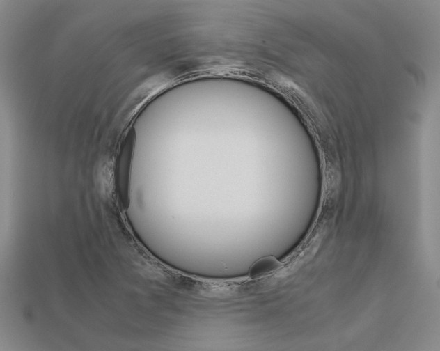 X0000113601361200909181100