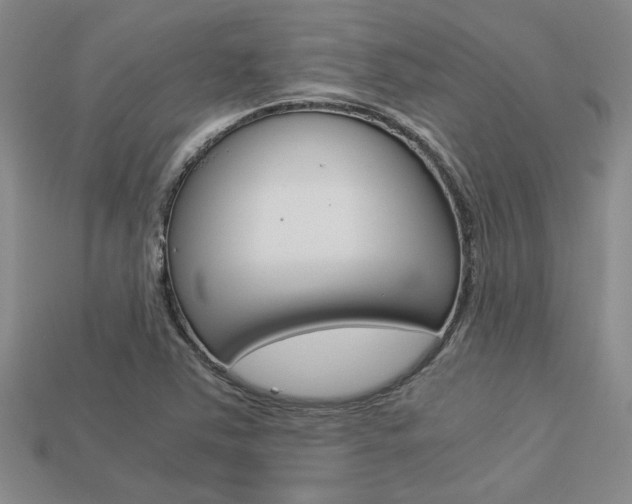 X0000113601363200909181100