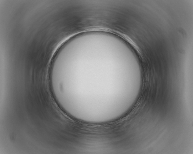 X0000113601364200909181100