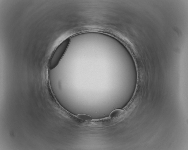 X0000113601365200909181100