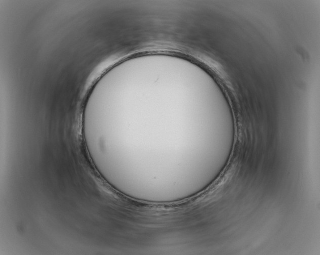 X0000113601366200909181100