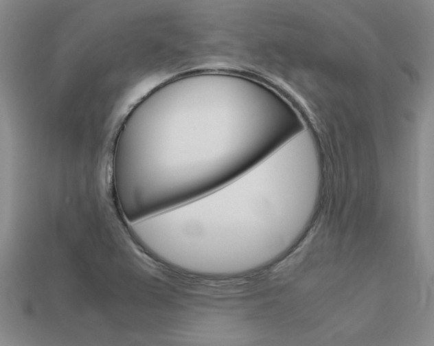 X0000113601367200909181100