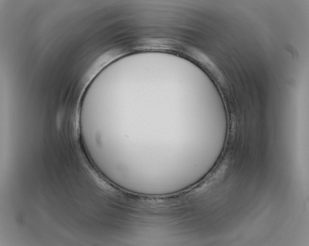X0000113601370200909181100