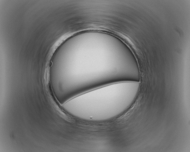 X0000113601371200909181100