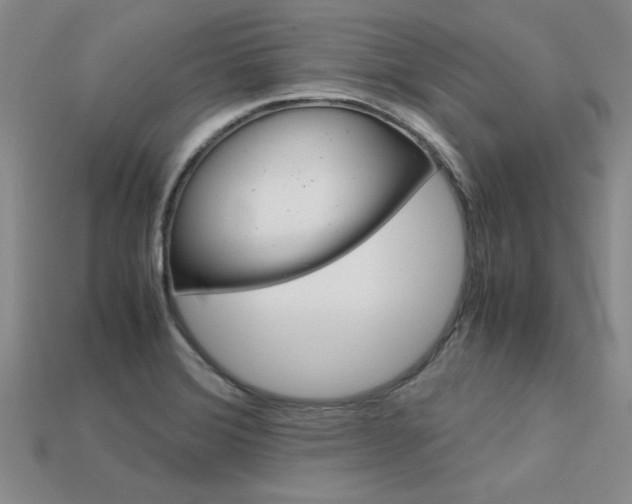 X0000113601372200909181100