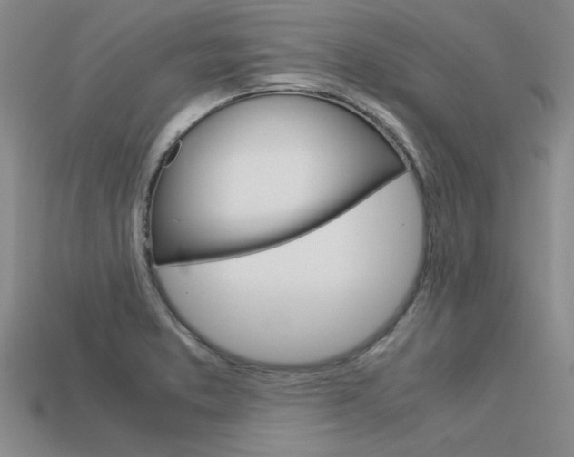 X0000113601373200909181100