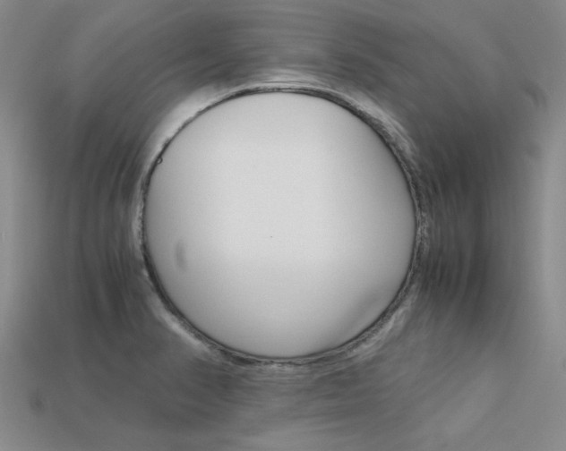 X0000113601374200909181100