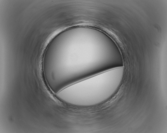X0000113601375200909181100