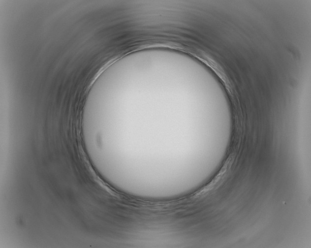 X0000113601377200909181100