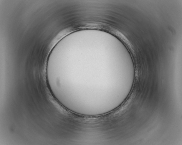 X0000113601378200909181100