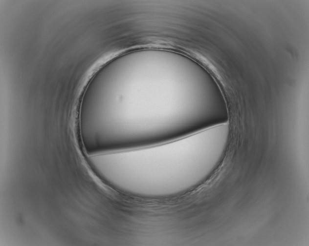 X0000113601379200909181100
