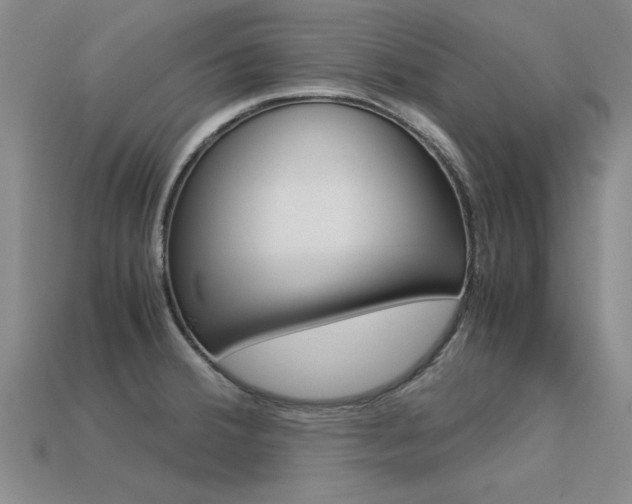 X0000113601380200909181100