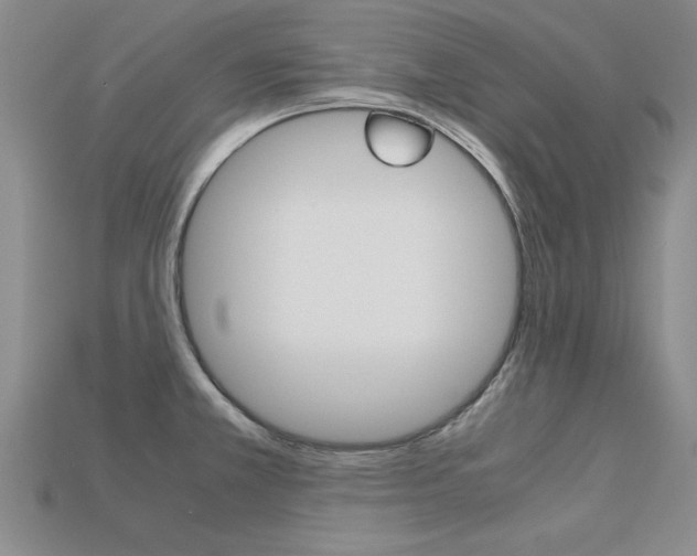 X0000113601381200909181059