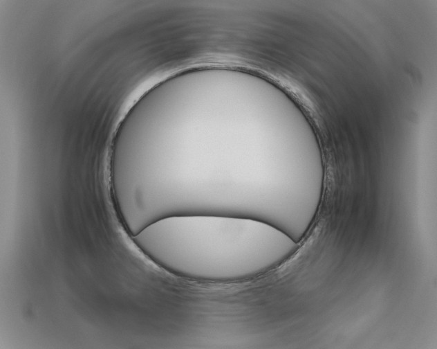 X0000113601382200909181059