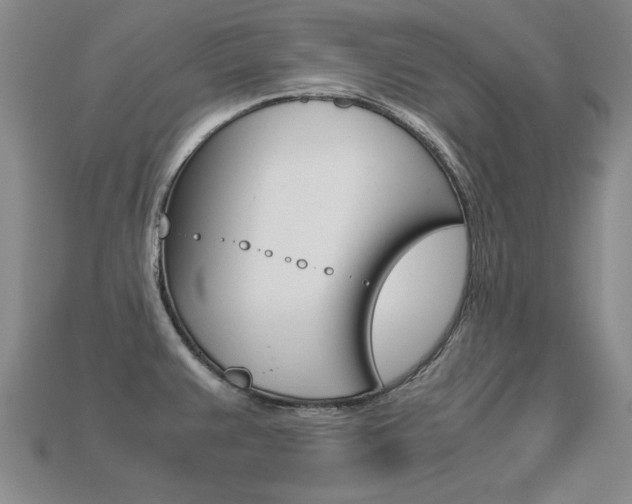 X0000113601383200909181059