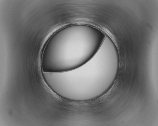 X0000113601384200909181059