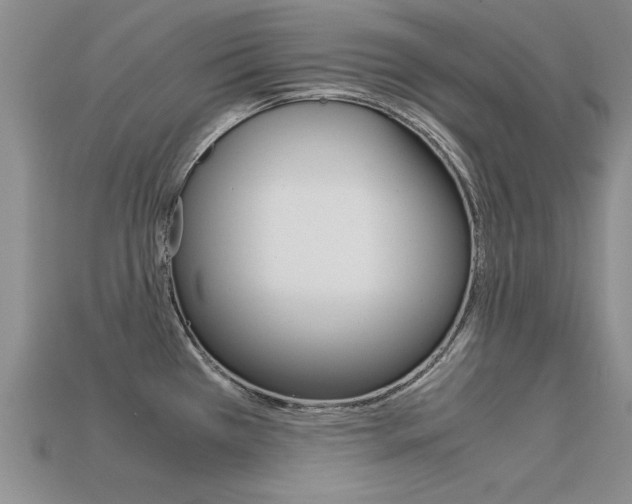 X0000113601385200909181059