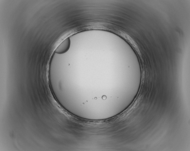 X0000113601386200909181059