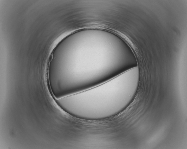 X0000113601387200909181059