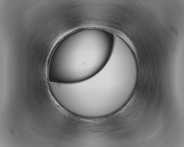 X0000113601388200909181059