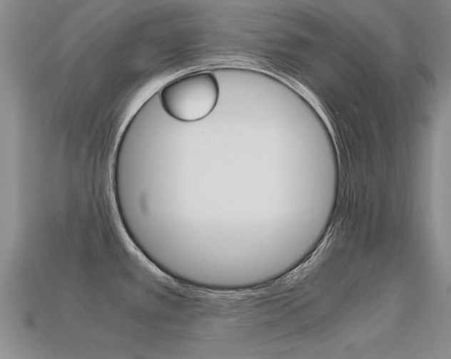 X0000113601389200909181059